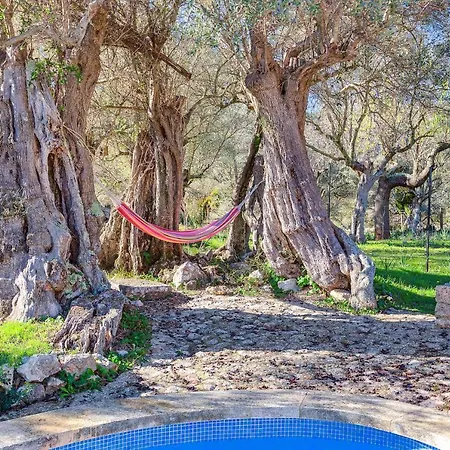 Valldemossa - Sa Baduia Villa *